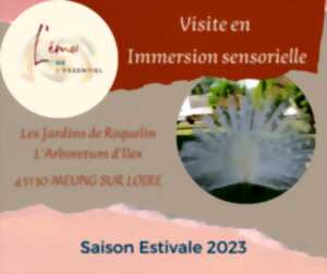 photo Visite libre de l’Arboretum d’Ilex