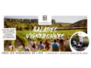BALADES VIGNERONNES - CHÂTEAU LA NÉGLY