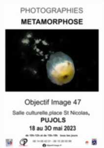 Exposition photographiques - METAMORPHOSE