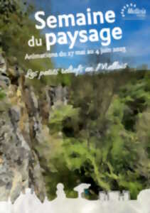 La semaine du paysage : Balade animée 
