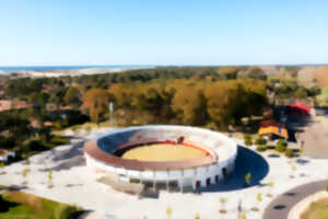 Visite guidée des arènes