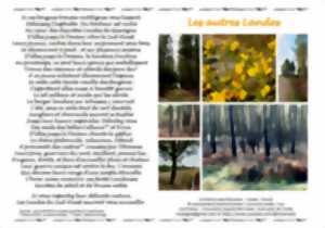 Exposition vente - 