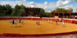 VISITE COMMENTÉE DES ARÈNES DE SEISSAN