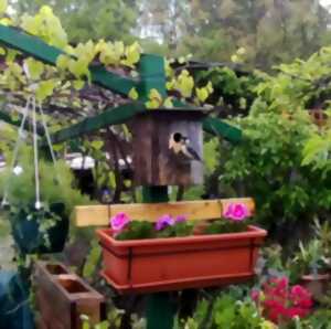 photo Rendez-vous au jardin de Pascal et Céline