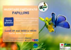 Inventaire participatif des papillons de nos campagnes