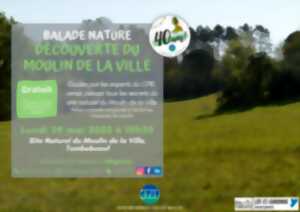 Balade nature : découverte du Moulin de la Ville