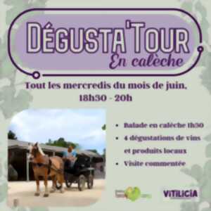 DEGUSTA'TOUR EN CALÈCHE