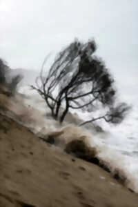 photo Exposition : Robots & IA