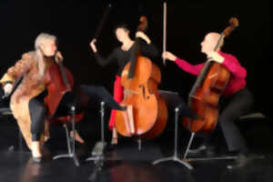 photo Concert Quintet Archets Creusois