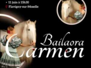 photo Spectacle équestre : Femmes