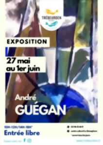 Exposition André Guégan