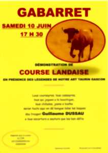 Démonstration de Course Landaise