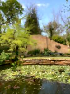 A la découverte d'un jardin botanique secret