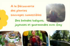 Balades ludiques gourmandes et joyeuses avec Emy
