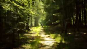 photo Balade de Printemps à Fortan