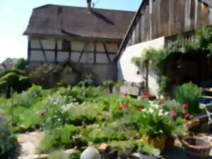 JARDIN OUVERT - Une cour-jardin luxuriante