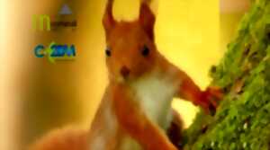 Expo-Photos Nature : Office de Tourisme & Chapelle de l'Orphelinat