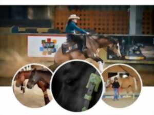 photo Concours équitation western