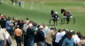 REUNION HIPPIQUE A EAUZE
