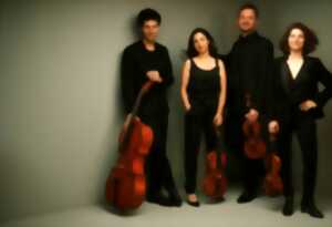 Vibre Festival : Quatuor Voce/ Miksi  Pygmalion