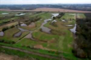 Sortie Nature: Découverte des zones humides au marais de la Virvée