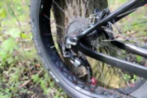 Randonnées VTT/pédestres de l'amicale des pompiers