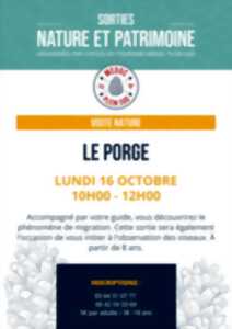 Sortie à la découverte de la migration des oiseaux à Langouarde
