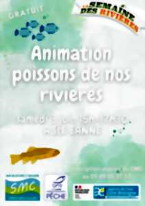 Sortie nature - Les poissons en eaux perdues