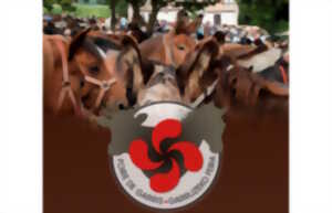 Foire aux chevaux