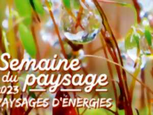 SEMAINE DU PAYSAGE 2023 - CONFÉRENCE L'ARBRE FRUITIER, CET AMI DU PAYSAGE ET DE LA VIE