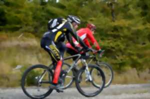 Course cycliste 