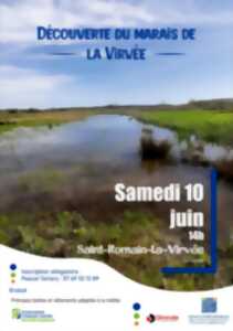 Sortie Nature: Découverte des zones humides au marais de la Virvée