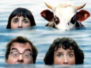 Debout les vaches, la mer monte, le spectacle