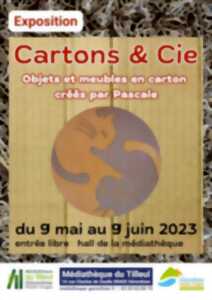 photo CARTONS & CIE