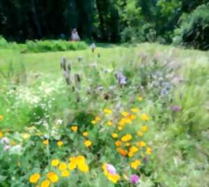 Rendez-vous aux jardins 