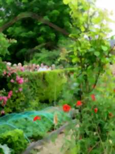 photo Rendez-vous aux Jardins au Musée Renaudot