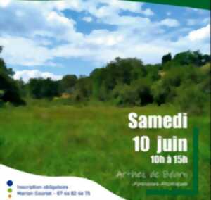 photo Sortie nature : Découverte du vallon du Clamondé