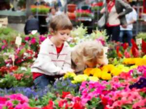 Marché aux fleurs de Bazas