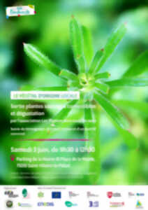 Sortie plantes sauvages comestibles et dégustation