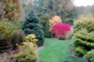Visites guidées au jardin du Livon
