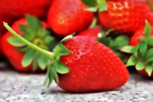 Fête de la fraise