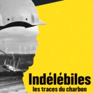 Le charbon dans les Landes [Conférence] Médiathèque Aire