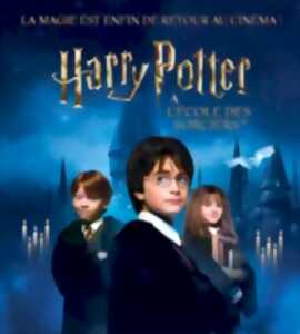 Cinéma : Harry Potter à l'école des sorciers
