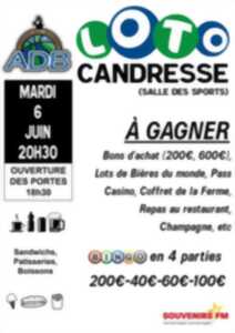 Loto
