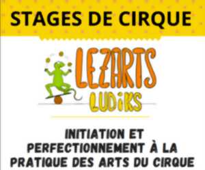 photo Stage des arts du cirque avec Lezarts Ludiks
