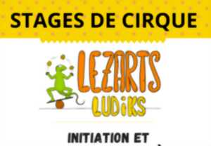 photo Stage des arts du cirque avec Lezarts Ludiks