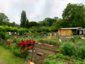 Rendez vous aux jardins 2023