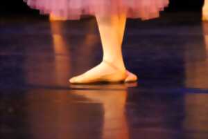 Gala de danse