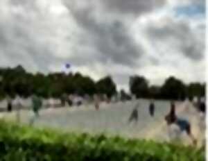 Concours de boules en bois