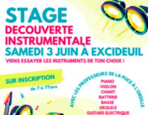 Stage de découverte instrumentale